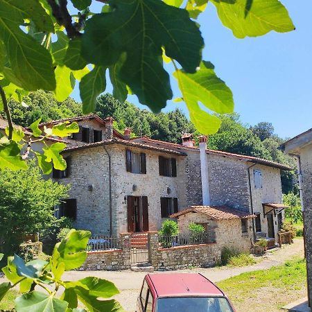 Cara House Tuscany - Zona Lucca Chiatri المظهر الخارجي الصورة