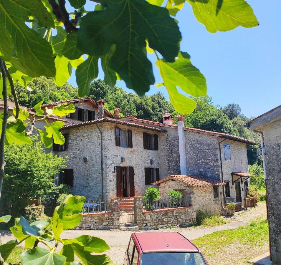 Cara House Tuscany - Zona Lucca Chiatri المظهر الخارجي الصورة